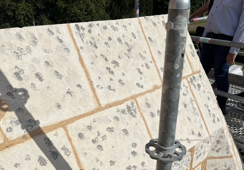 Tête de tourelle patinée Vitot (27)