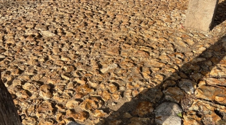 Calade pierre Vitot (27)